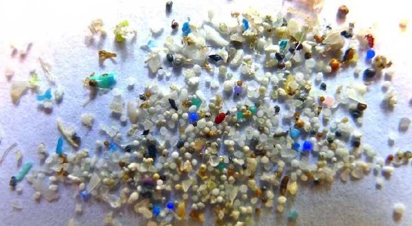 More US states plan to ban microbeads from cosmetics