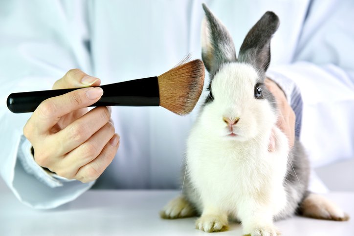 The Body Shop and Cruelty Free International call for UK animal testing ban