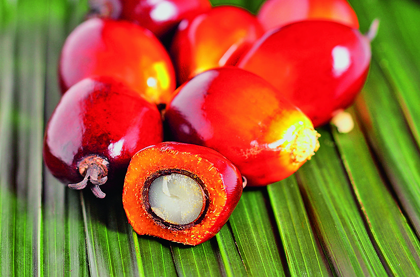 BASF Personal Care Europe increases prices of RSPO-certified oleoderivatives