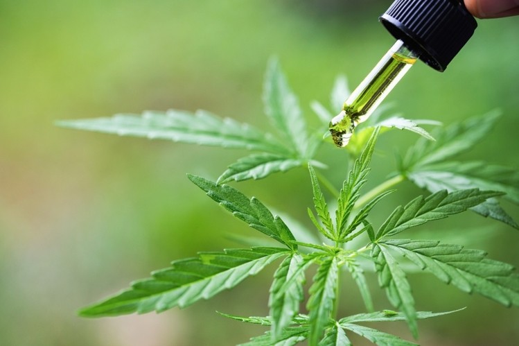 France steps up attempt to regulate CBD; proposes Europe-wide ban